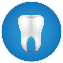 Endodontics Tooth